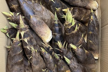 旬の食材を使った暖かい料理…“山の幸”をいただきます